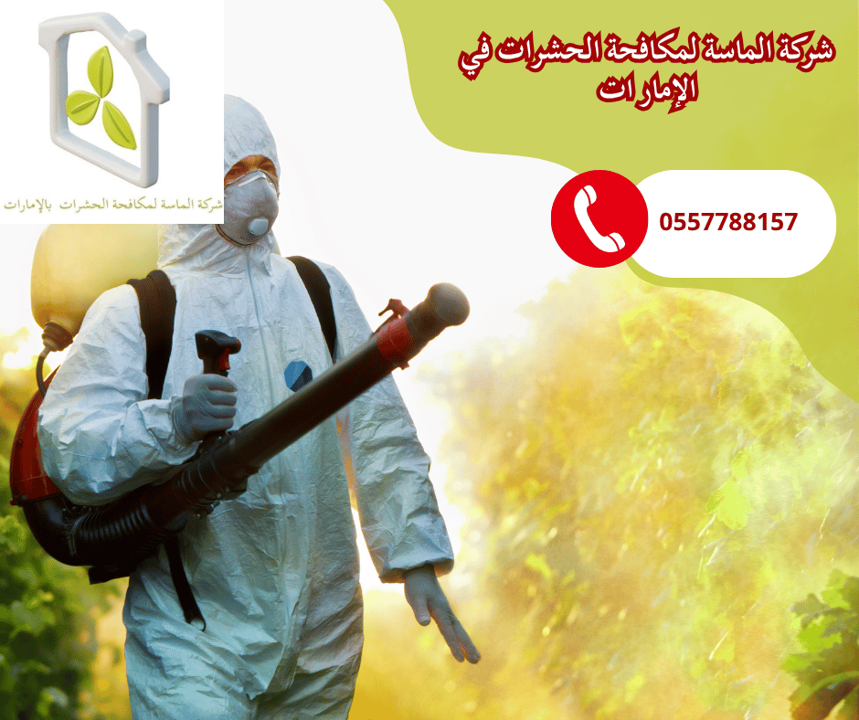 شركة رش مبيدات العين