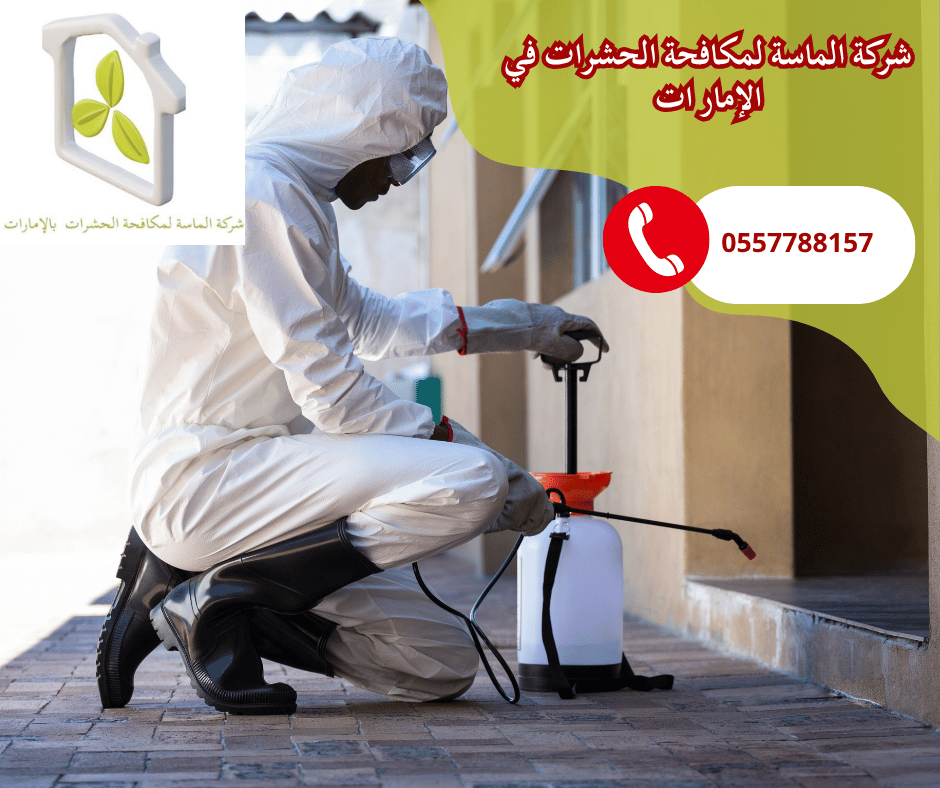 شركة مكافحة حشرات دبي