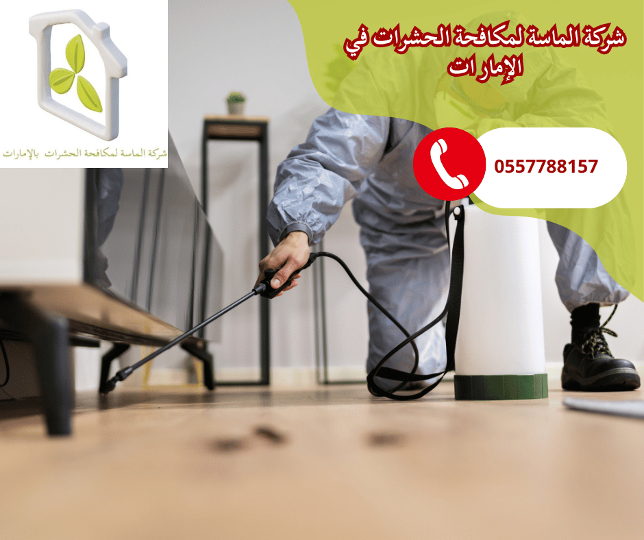 شركة مكافحة حشرات أم القيوين