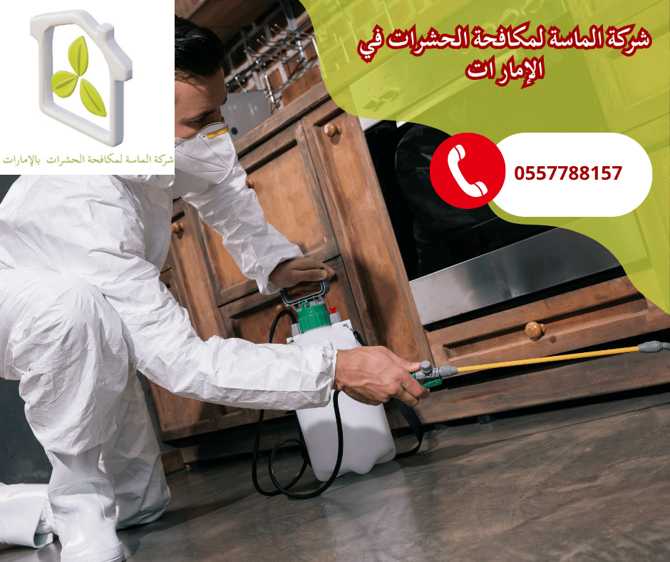 شركة مكافحة الصراصير عجمان