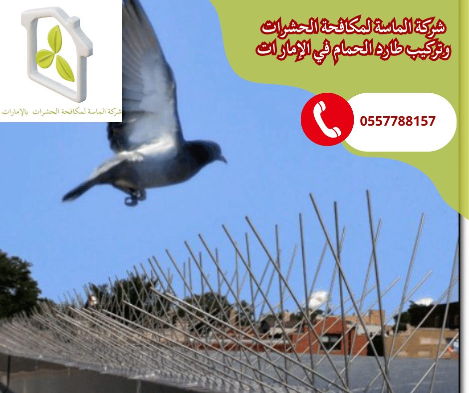 شركة تركيب طارد حمام في عجمان