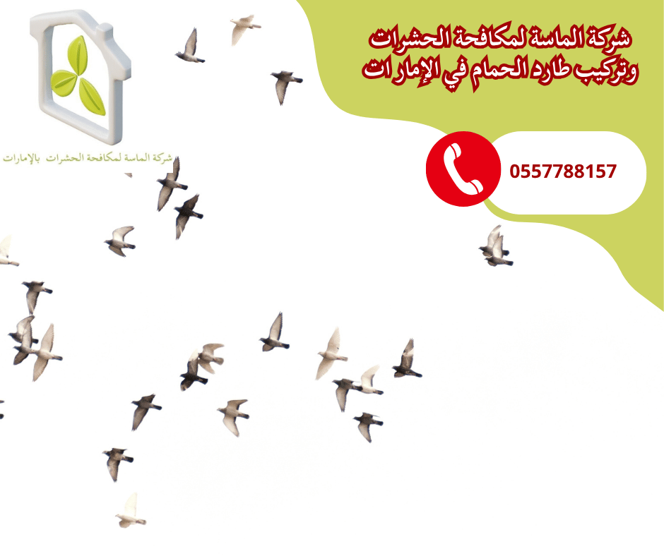 شركة تركيب طارد حمام في رأس الخيمة
