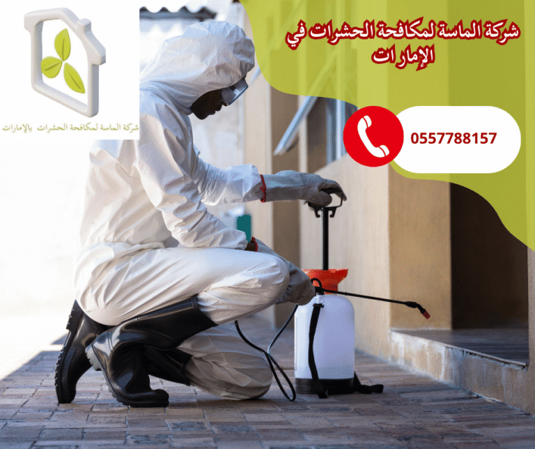شركة مكافحة حشرات في عجمان